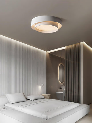 Charming Ceiling Light Fixture, Modern Design