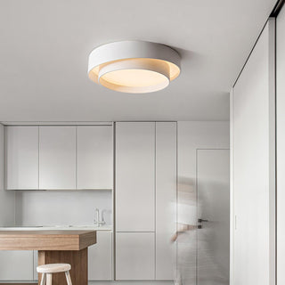 Charming Ceiling Light Fixture, Modern Design