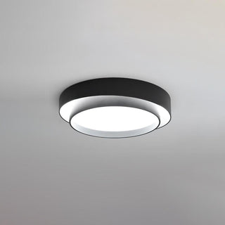 Charming Ceiling Light Fixture, Modern Design