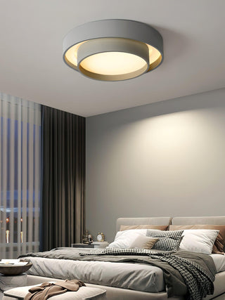Charming Ceiling Light Fixture, Modern Design
