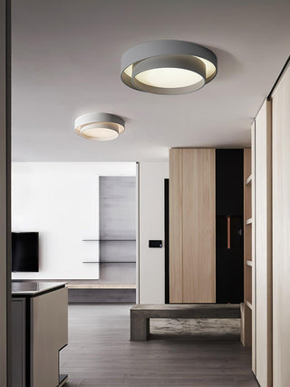 Charming Ceiling Light Fixture, Modern Design