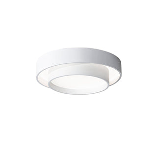 Charming Ceiling Light Fixture, Modern Design