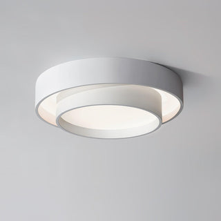 Charming Ceiling Light Fixture, Modern Design