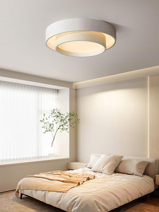 Charming Ceiling Light Fixture, Modern Design