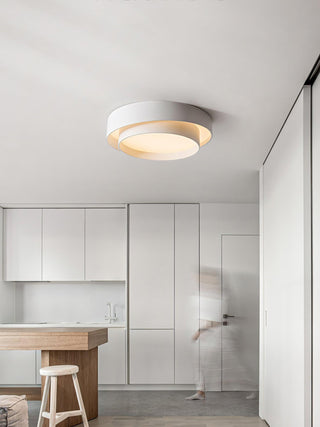 Charming Ceiling Light Fixture, Modern Design