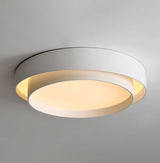 Charming Ceiling Light Fixture, Modern Design