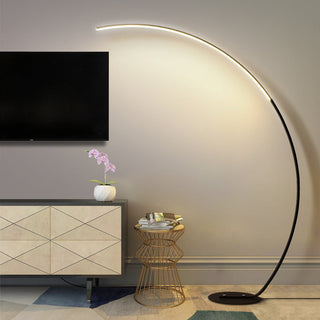 Curved Floor Lamp, Modern Design
