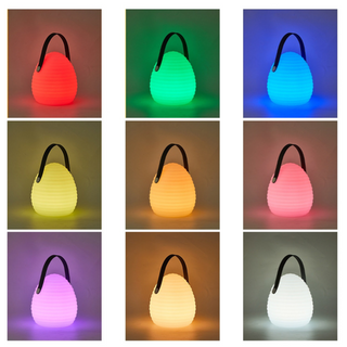 Sleek Outdoor Lantern, Contemporary Design