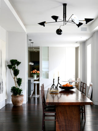 Modern Ceiling Light, Sleek Design