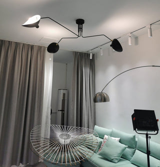 Modern Ceiling Light, Sleek Design