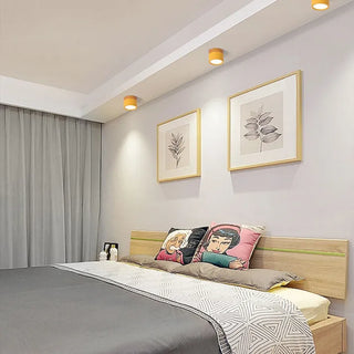 Scandinavian Style Cylinder LED Ceiling Lights, Hallway Illumination