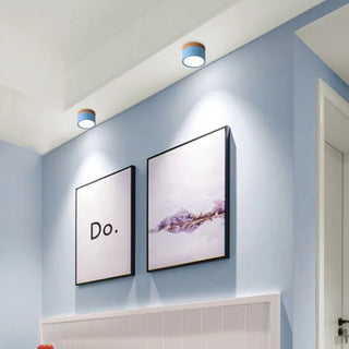 Scandinavian Style Cylinder LED Ceiling Lights, Hallway Illumination