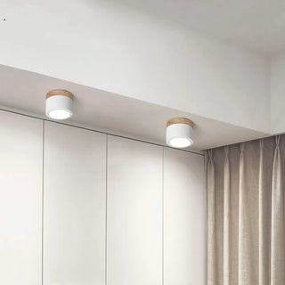 Scandinavian Style Cylinder LED Ceiling Lights, Hallway Illumination