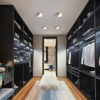 Scandinavian Style Cylinder LED Ceiling Lights, Hallway Illumination