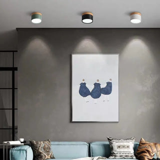 Scandinavian Style Cylinder LED Ceiling Lights, Hallway Illumination