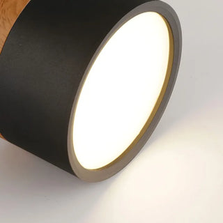 Scandinavian Style Cylinder LED Ceiling Lights, Hallway Illumination