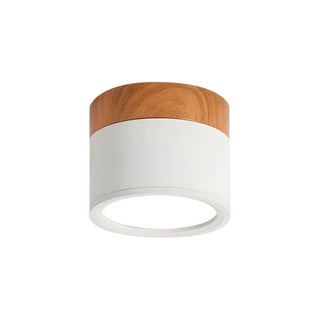 Scandinavian Style Cylinder LED Ceiling Lights, Hallway Illumination