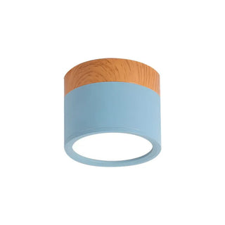 Scandinavian Style Cylinder LED Ceiling Lights, Hallway Illumination