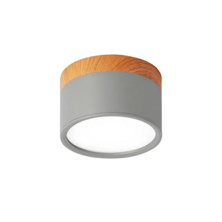 Scandinavian Style Cylinder LED Ceiling Lights, Hallway Illumination