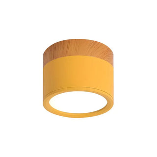 Scandinavian Style Cylinder LED Ceiling Lights, Hallway Illumination