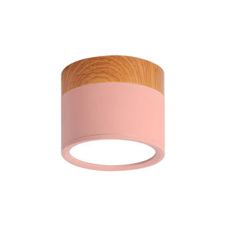 Scandinavian Style Cylinder LED Ceiling Lights, Hallway Illumination