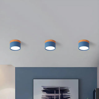 Scandinavian Style Cylinder LED Ceiling Lights, Hallway Illumination