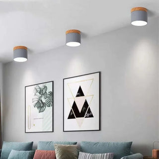 Scandinavian Style Cylinder LED Ceiling Lights, Hallway Illumination