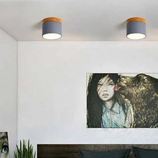 Scandinavian Style Cylinder LED Ceiling Lights, Hallway Illumination