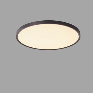 Moisture-Resistant LED Ceiling Light, Ideal for Bathrooms