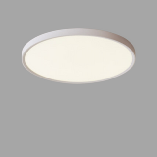 Moisture-Resistant LED Ceiling Light, Ideal for Bathrooms
