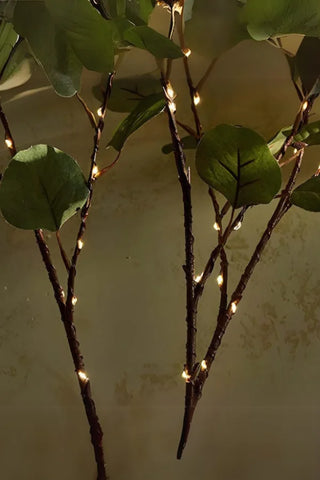 Enchanted Floral Lighted Branch Set  Soft Glow
