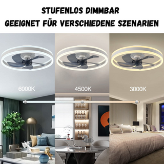 Modern Ceiling Fan Light, Adjustable Brightness