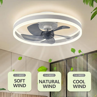 Modern Ceiling Fan Light, Adjustable Brightness