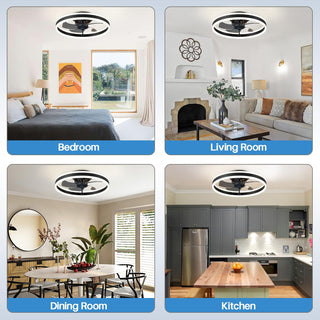 Modern Ceiling Fan Light, Adjustable Brightness