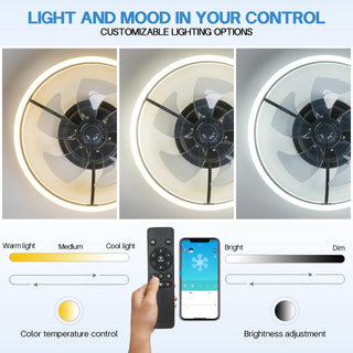 Modern Ceiling Fan Light, Adjustable Brightness