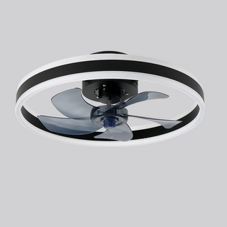 Modern Ceiling Fan Light, Adjustable Brightness