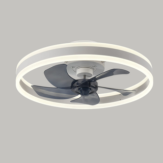 Modern Ceiling Fan Light, Adjustable Brightness