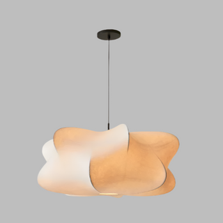 Artistic Pendant Lamp, Organic Design
