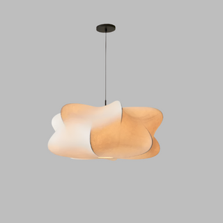 Artistic Pendant Lamp, Organic Design