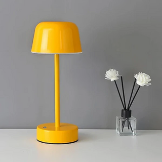 Vibrant Light Accessory, Dynamic Illumination