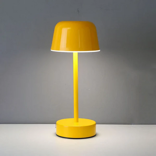 Vibrant Light Accessory, Dynamic Illumination