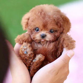 Realistic Robot Puppy