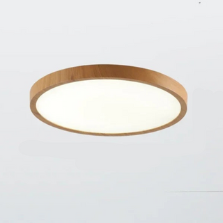 Sleek Circular Ceiling Fixture, Ultrathin Design